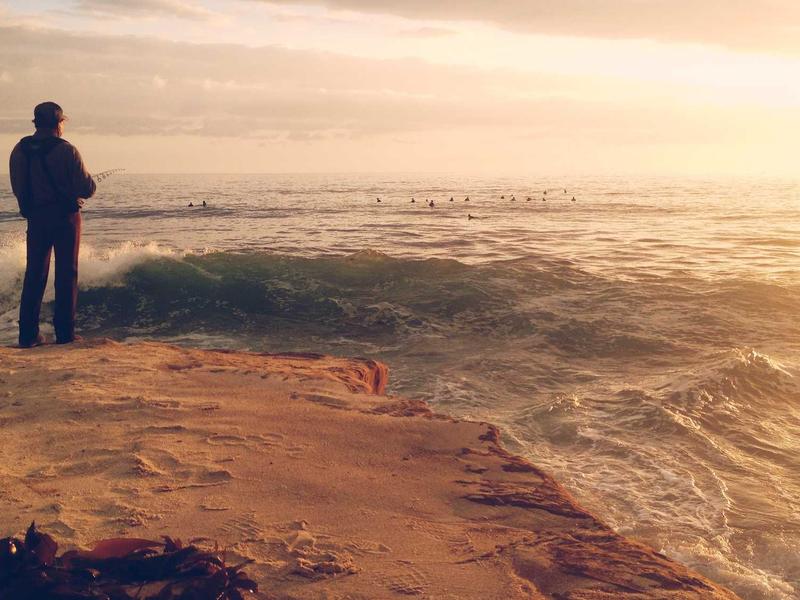 诗经草木疏<br>ly9ugd.cn 蒹葭苍苍白露